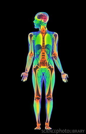 body_scan_pic.jpg